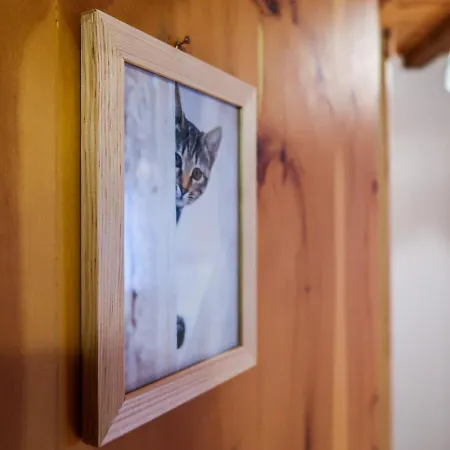 Chaedoz 61 By Interhome