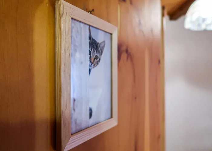 Chaedoz 61 By Interhome